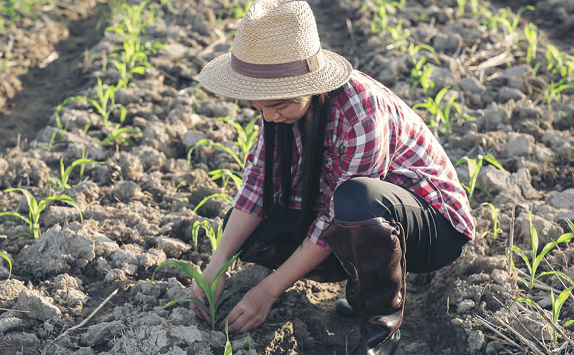 Emprendimiento digital para ayudar directamente a agricultores y comunidades en sus desarrollos sin intermediarios