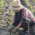 Emprendimiento digital para ayudar directamente a agricultores y comunidades en sus desarrollos sin intermediarios