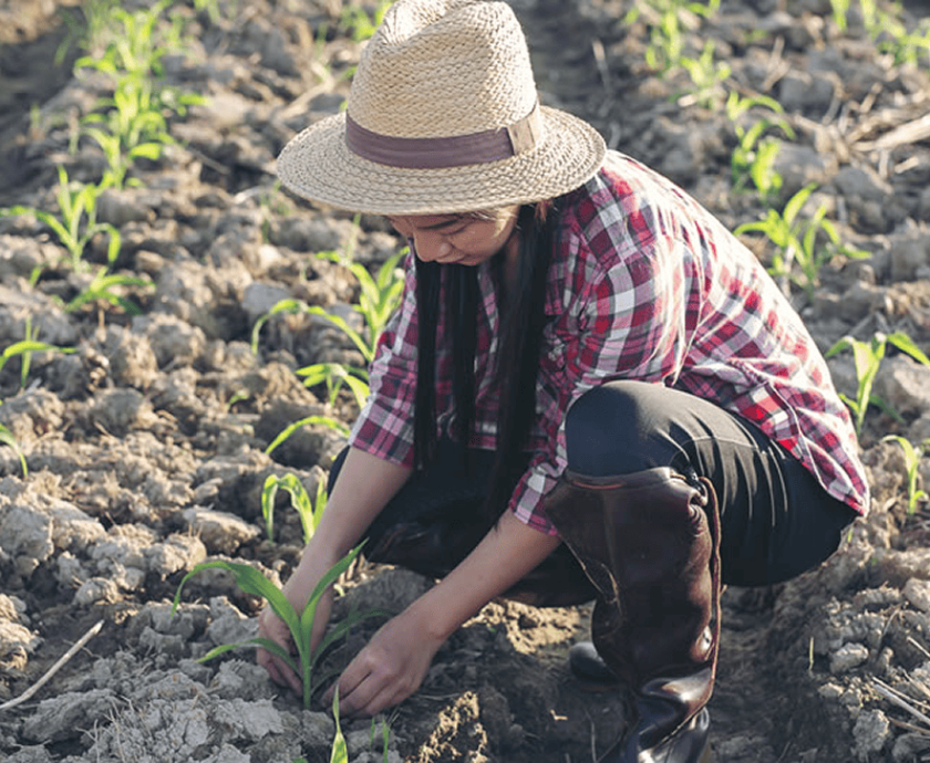 Emprendimiento digital para ayudar directamente a agricultores y comunidades en sus desarrollos sin intermediarios