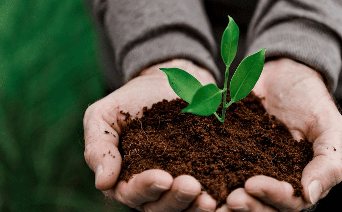 El futuro de los alimentos: maximizar la financiación para el desarrollo en las cadenas de valor agrícolas