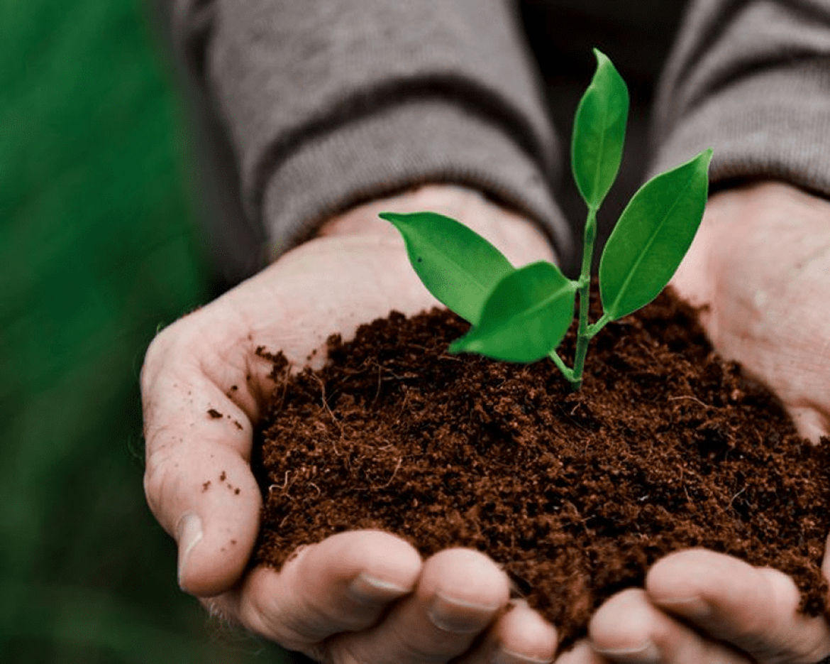 El futuro de los alimentos: maximizar la financiación para el desarrollo en las cadenas de valor agrícolas